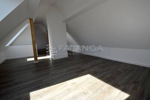 Dachstudio - 