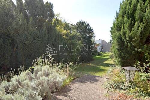 Herrlicher sonniger Garten und Terrasse - 5 Zimmer Einfamilienhaus zur Miete in Budenheim