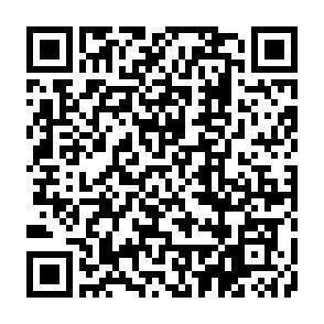 QR-Code - 