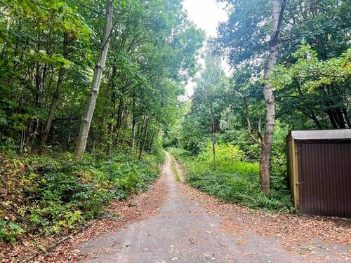 Wald hinter dem Grundstück - 