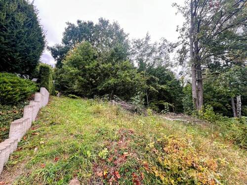 Straßenansicht-6 - Grundstück in Wolfshagen