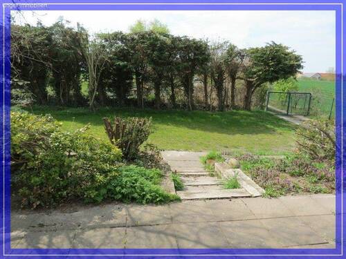 Gartenblick - 