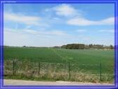 freier Ausblick - 