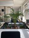 Bild 18 - 