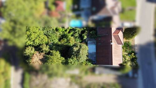 02 Vogel - 7 Zimmer Einfamilienhaus zum Kaufen in Tholey