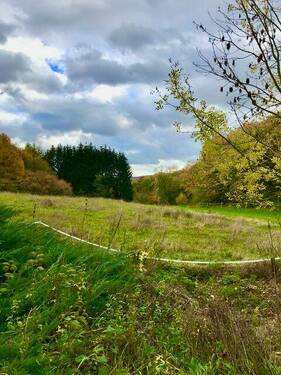Blick südöstlich auf die anliegende Weide vom Ga - 