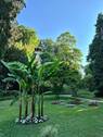 Stadtgarten - 