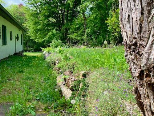 Grundstück mit Plateau Blick zum Weg 2.jpeg - 