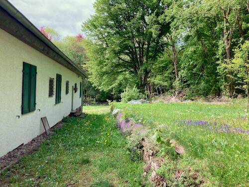 Grundstück mit Plateau Blick zum Weg 3.jpeg - 