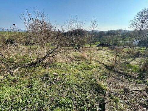 Haben Sie einen grünen Daumen? - 