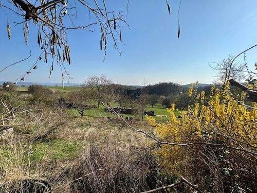 Bild 4 - Einfamilienhaus mit 116,00 m&sup2; in Johannesberg- zum Kaufen