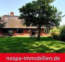 Kleines romantisches Versteck unter Reet - Vollerwiek