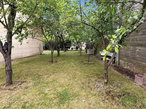 Garten mit Obstbäumen - 