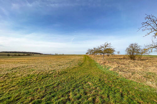 Grundstück Nr. 1 - Grundstück zum Kaufen in Erfurt / Molsdorf