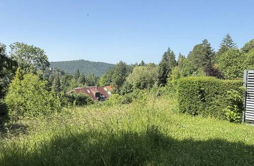 Blick von der Markgrafenstraße - 