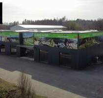 Moderne Gewerbeimmobilie mit großer Verkaufshalle und 4.000 m² Grundstück - vielseitig nutzbar in St. Wendel-Bliesen - Sankt Wendel