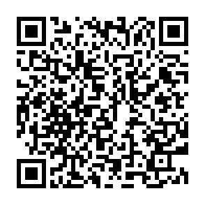 QR-Code - 