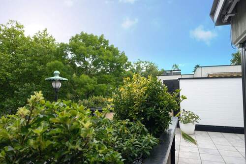 Ausblick in die Baumkronen - 