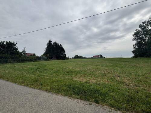 Grundstücke 1 und 2 - Grundstück in Satow- Pustohl zum Kaufen