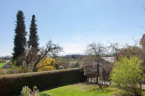 Blick vom Südbalkon - 