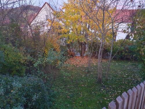 Schön eingewachsener Garten zur Ortsdurchfahrt - 