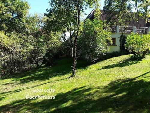 Schönes Grundstück Westansicht - 