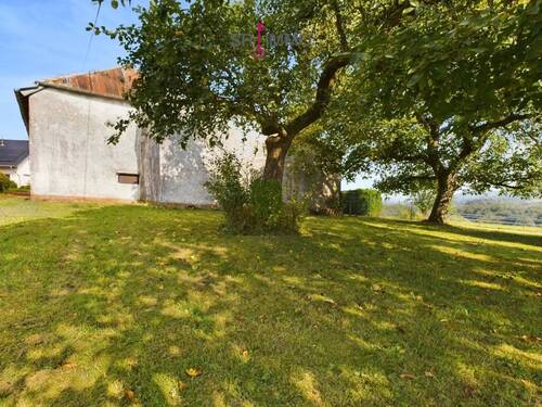Bild 4 - Einfamilienhaus mit 110,00 m² in Altscheid zum Kaufen