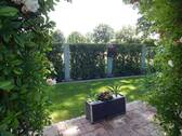 Der Garten - 