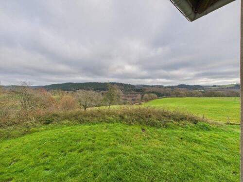 Naturblick von der Terrasse - 