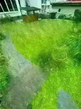 original (20).webp - 