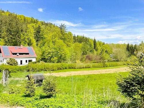 Objektansicht - 6 Zimmer Einfamilienhaus zum Kaufen in Altenberg
