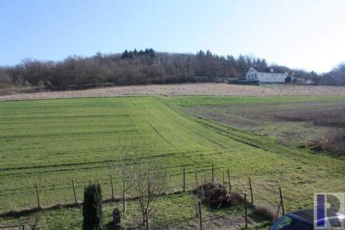 Blick ins Grüne - Attraktive und geräumige Eigentumswohnung