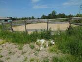 Bild 49 - 