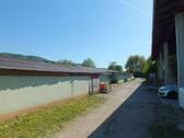 DSCF0221 - 