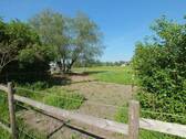 DSCF0229 - 