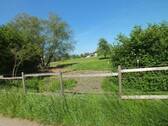 DSCF0233 - 