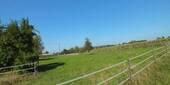 Suedkoppel - 