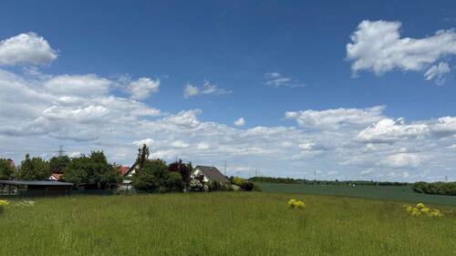 IMG_0677 - Grundstück in Arnstadt