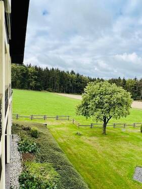 IMG_1989 Groß.jpeg - 