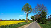 Anfahrt aus Richtung Sehlsdorf (Westen) - 