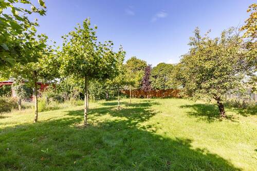 hinterer Grundstücksteil - 