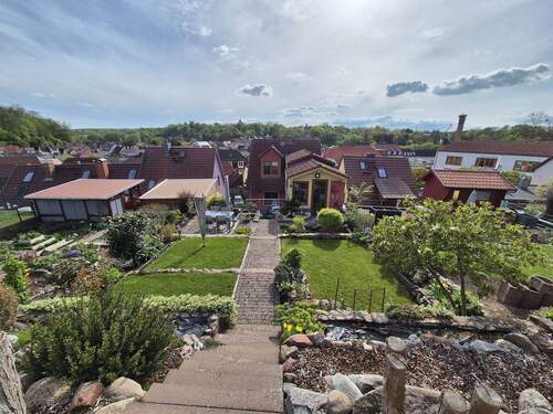 Blick aufs Grundstück - 