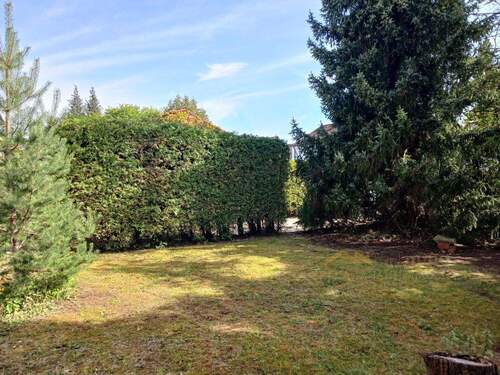 Großes Grundstück - 