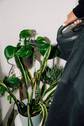 Bild 23 - 