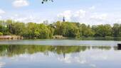 Schwanenteich, im Hintergrund die Domspitze - 