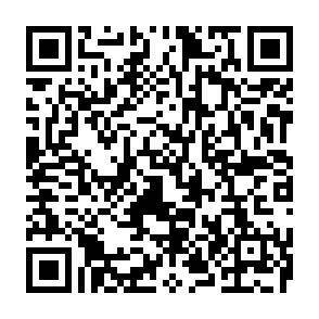 QR-Code - 