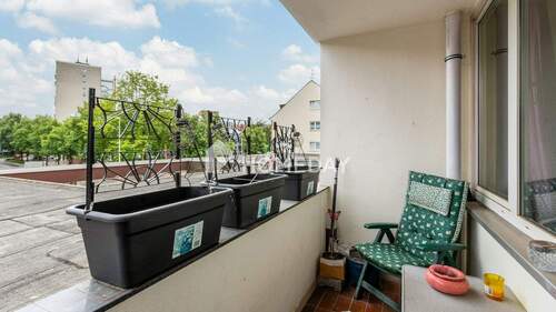 Loggia 1 - 