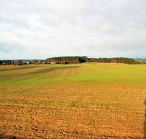 Fruchtfolge im Eigenanbau - Ackerfläche auf Usedom - Zirchow