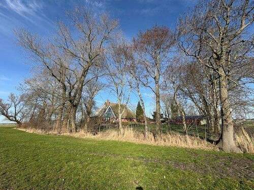 Feldansicht 1 Rehweg - 6 Zimmer Einfamilienhaus zum Kaufen in Nortorf