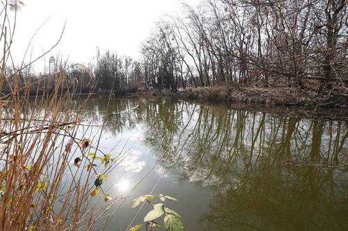 Grundstücksgrenze - 